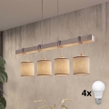 Brilagi - LED luster na jeklenem lanku NUBILA 4xE27/60W/230V siva/rjava