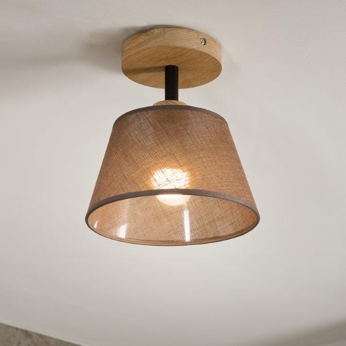 Brilagi - LED  Nadgradni lestenec ANTHONY 1xE14/60W/230V hrast/rjava