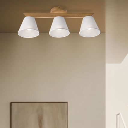 Brilagi - LED  Nadgradni lestenec ANTHONY 3xE14/40W/230V hrast/bela