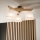 Brilagi - LED  Nadgradni lestenec ANTHONY 3xE14/40W/230V hrast/bela