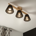 Brilagi - LED  Nadgradni lestenec ANTHONY 3xE14/40W/230V hrast/črna
