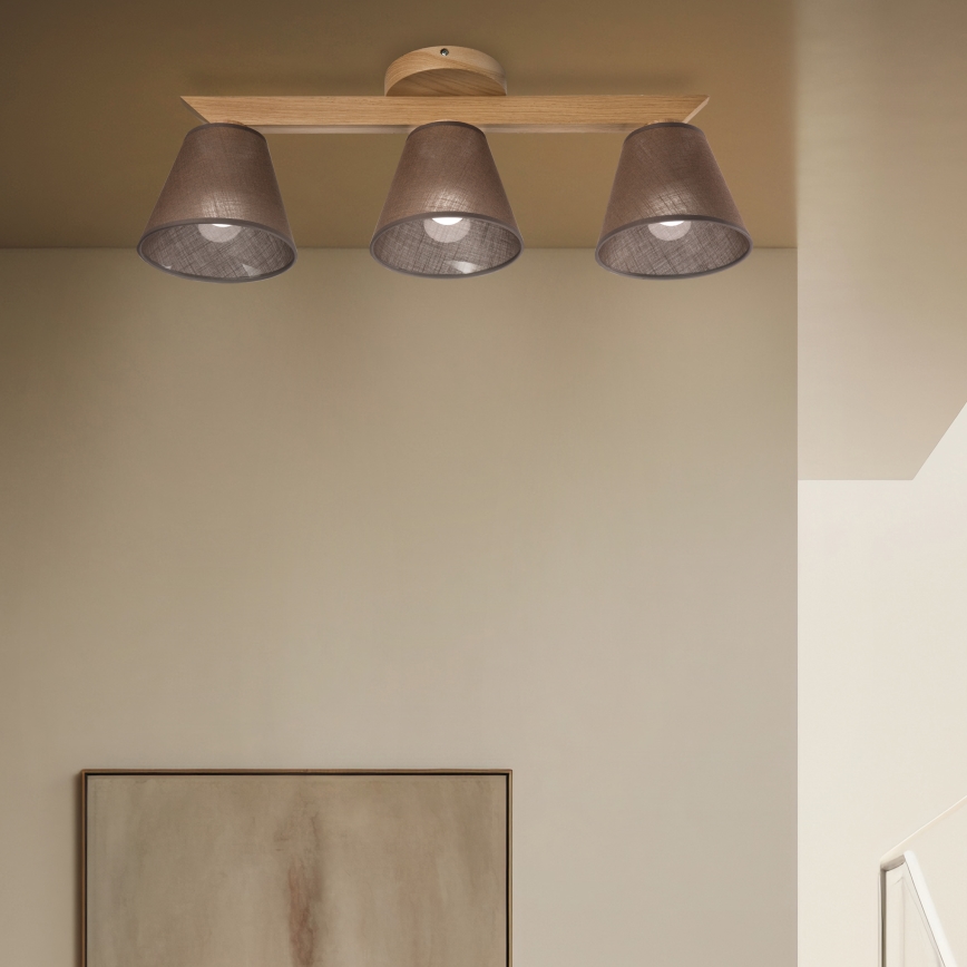 Brilagi - LED  Nadgradni lestenec ANTHONY 3xE14/40W/230V hrast/rjava