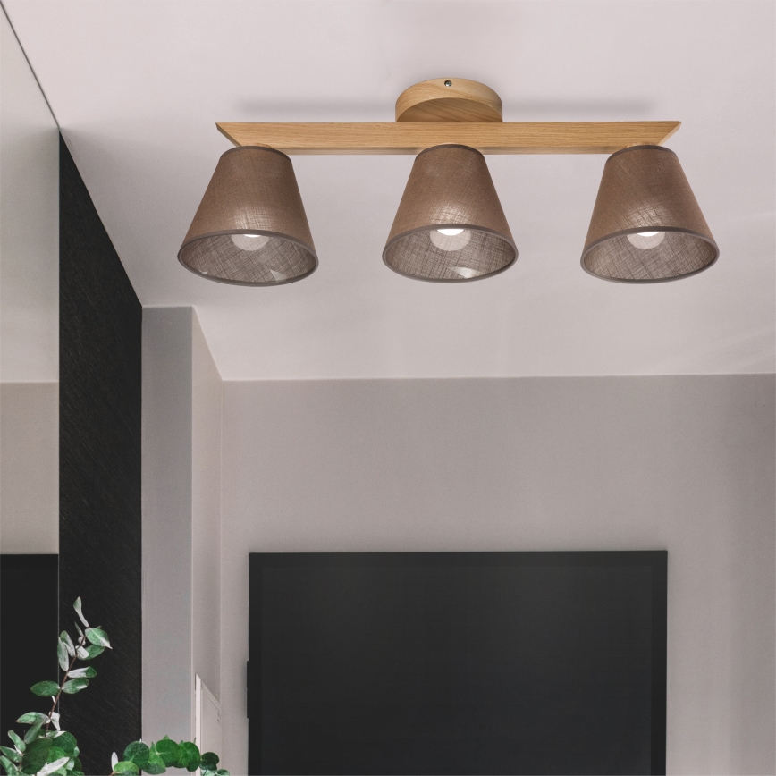 Brilagi - LED  Nadgradni lestenec ANTHONY 3xE14/40W/230V hrast/rjava