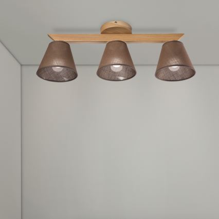 Brilagi - LED  Nadgradni lestenec ANTHONY 3xE14/40W/230V hrast/rjava