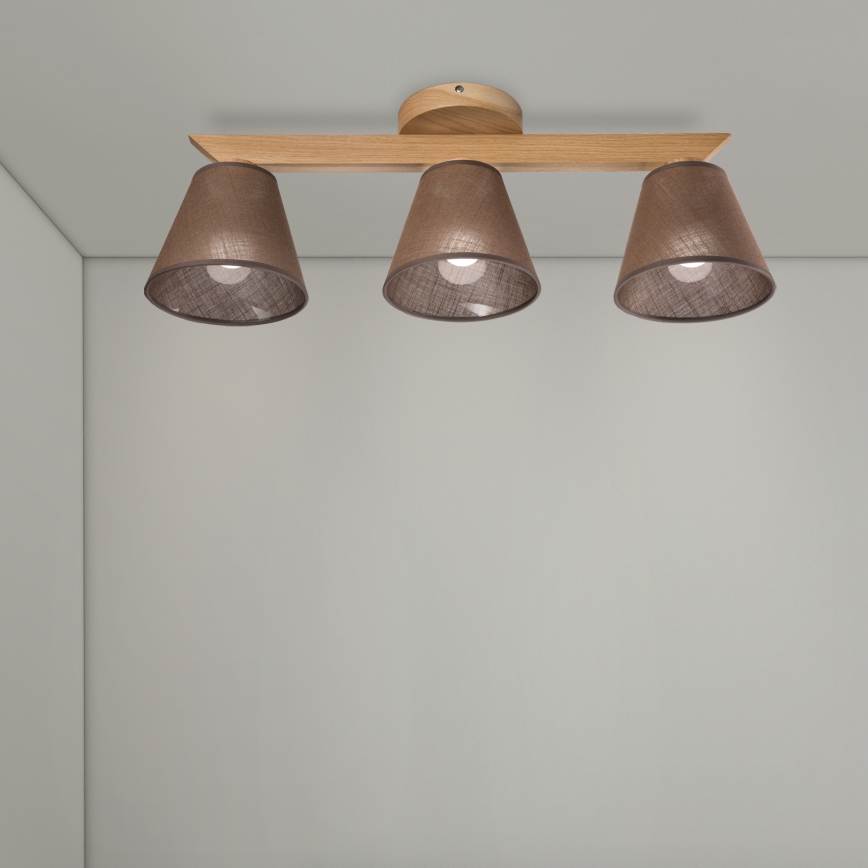 Brilagi - LED  Nadgradni lestenec ANTHONY 3xE14/40W/230V hrast/rjava