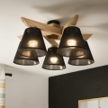 Brilagi - LED  Nadgradni lestenec ANTHONY 5xE14/40W/230V hrast/črna