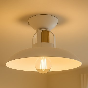 Brilagi - LED Nadgradni lestenec FLAMENGO 1xE27/60W/230V bela