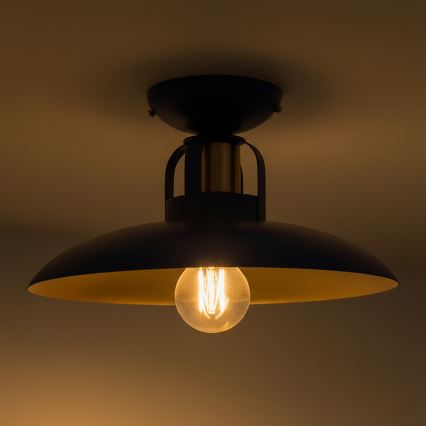 Brilagi - LED Nadgradni lestenec FLAMENGO 1xE27/60W/230V modra