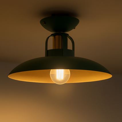 Brilagi - LED Nadgradni lestenec FLAMENGO 1xE27/60W/230V zelena