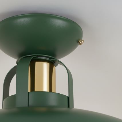 Brilagi - LED Nadgradni lestenec FLAMENGO 1xE27/60W/230V zelena