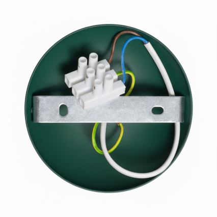 Brilagi - LED Nadgradni lestenec FLAMENGO 1xE27/60W/230V zelena