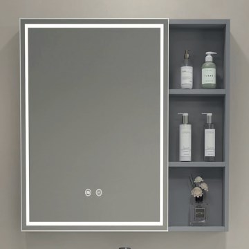 BRILAGI - LED ogledalna kopalniška omarica z osvetlitvijo AVOLA SINGLE 55x70 cm