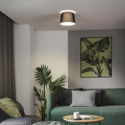 Brilagi - LED površinsko pritrjena stropna svetilka CERIA 1xE27/40W/230V premer 30 cm črna