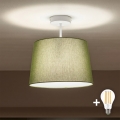 Brilagi - LED pritrdljiva stropna svetilka CERIA 1xE27/60W/230V, premer 30 cm, bela/zelena