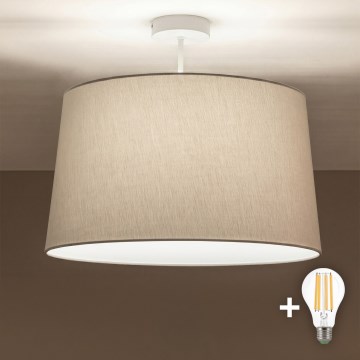 Brilagi - LED pritrjen lestenec CERIA 1xE27/60W/230V Ø 45 cm bela/siva