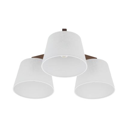 BRILAGI - LED Pritrjen lestenec LATTE 3xE27/15W/230V borovica/bela