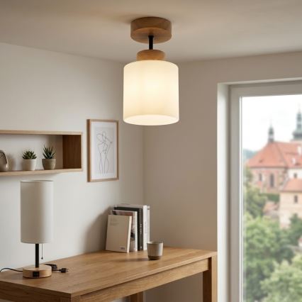 BRILAGI - LED Pritrjen lestenec RETRO GLASS 1xE27/60W/230V premer 10 cm hrast/bela