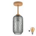 BRILAGI - LED pritrjen lestenec RETRO GLASS 1xE27/60W/230V Ø 14 cm bež/dimno siva