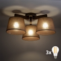 BRILAGI - LED pritrjen stropni lestenec LATTE 3xE27/15W/230V borovica/rjava