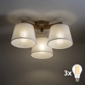 BRILAGI - LED pritrjen stropni lestenec LATTE SABIA 3xE27/15W/230V borovica/bela