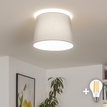Brilagi - LED pritrjena stropna svetilka CERIA 1xE27/40W/230V pr. 30 cm siva
