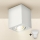 Brilagi - LED Reflektor MIA 1xGU10/30W/230V 100x80 mm bela