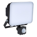 BRILAGI - LED reflektor s senzorjem ELARA PRO LED/30W/230V IP65
