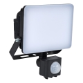 BRILAGI - LED reflektor z senzorjem ELARA PRO LED/10W/230V IP65