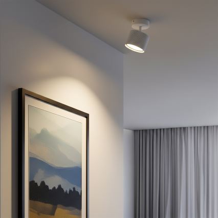 Brilagi - LED RGB+CCT zatemnljivo točkovno svetilo STRIPY 1xGX53/14W/230V 2700-6500K Wi-Fi Tuya belo
