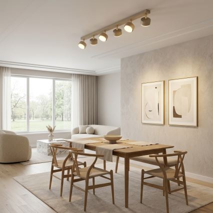 Brilagi - LED RGB+CCT zatemnljivo točkovno svetilo MONO 6xGX53/14W/230V 2700-6500K Wi-Fi Tuya bež/zlata
