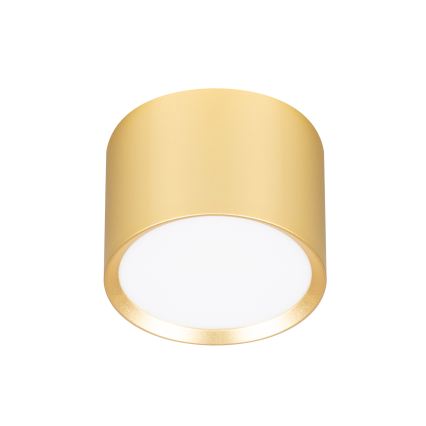 Brilagi - LED RGB+CCT zatemnljivo točkovno svetilo SMOOTH 1xGX53/14W/230V 2700-6500K Wi-Fi Tuya zlato