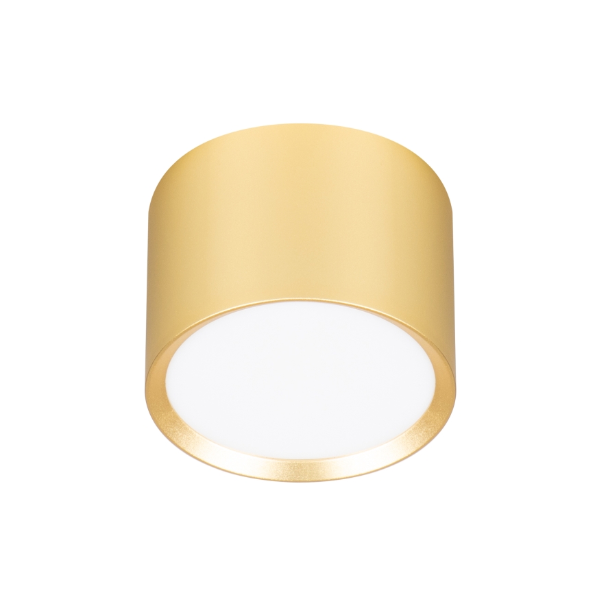Brilagi - LED RGB+CCT zatemnljivo točkovno svetilo SMOOTH 1xGX53/14W/230V 2700-6500K Wi-Fi Tuya zlato