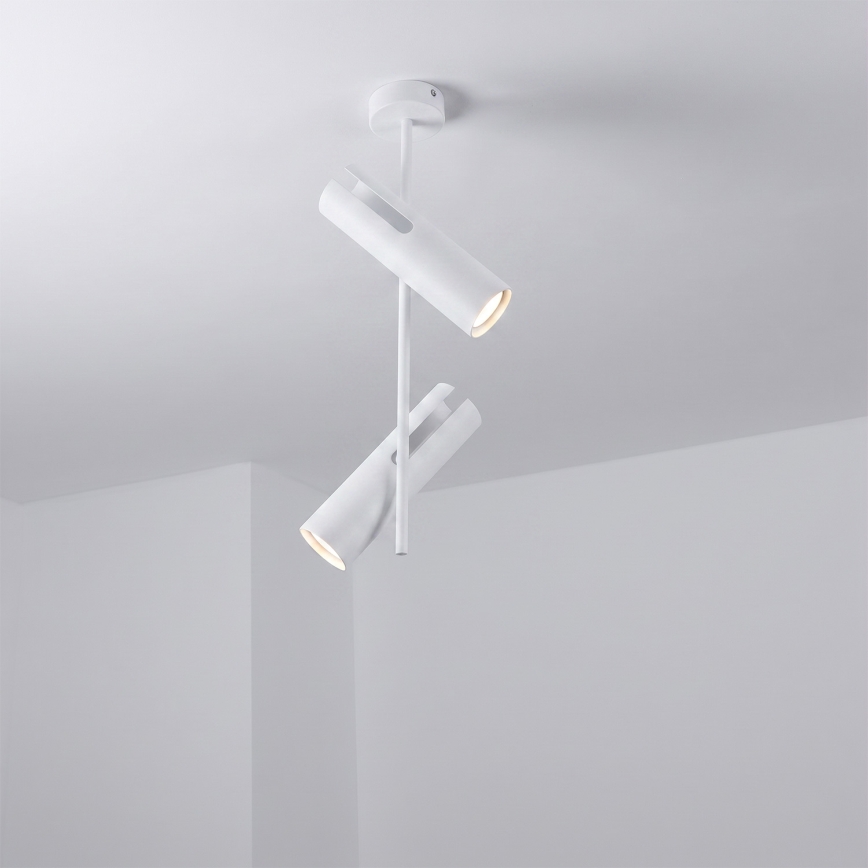 Brilagi - LED RGBW zatemnjiv lestenec na drogu BRANCH 2xGU10/6,5W/230V 2700-6500K bela