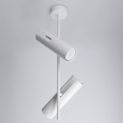 Brilagi - LED RGBW zatemnjiv lestenec na drogu BRANCH 2xGU10/6,5W/230V 2700-6500K bela