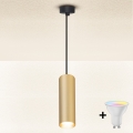 Brilagi - LED RGBW zatemljiv lestenec na kablu SELE 1xGU10/4,8W/230V 3000K črna/zlata + daljinski upravljalnik