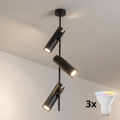 Brilagi - LED RGBW zatemljiv lestenec na palici BRANCH 3xGU10/6,5W/230V 2700-6500K črna