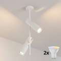 Brilagi - LED RGBW zatemnjiv lestenec na drogu BRANCH 2xGU10/6,5W/230V 2700-6500K bela