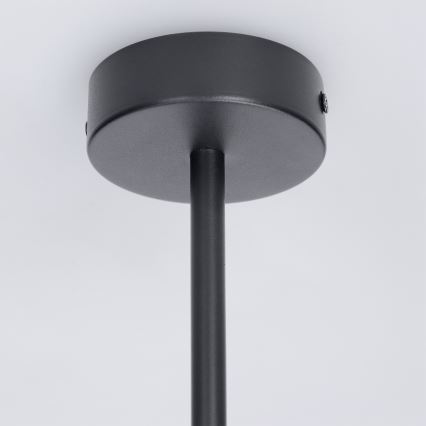 Brilagi - LED RGBW zatemljiv lestenec na palici BRANCH 3xGU10/6,5W/230V 2700-6500K črna