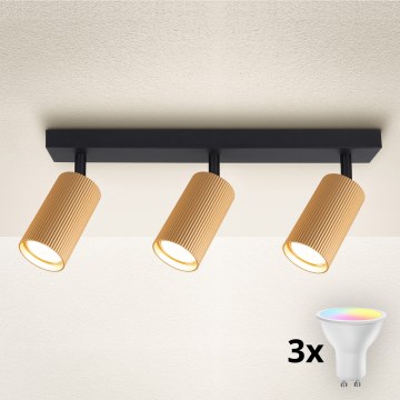 Brilagi - LED RGBW zatemnljivo stropno točkovno svetilo SELE MODERN 3xGU10/6W/230V 3000K zlato + daljinski upravljalnik
