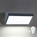 BRILAGI - LED RGBW zatemnljivo zunanje stensko svetilo TRIANGLE 1xE27/12W/230V 2700-6500K IP65 antracit