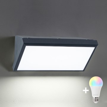 BRILAGI - LED RGBW zatemnljivo zunanje stensko svetilo TRIANGLE 1xE27/12W/230V 2700-6500K IP65 antracit