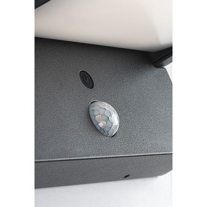 Brilagi - LED Solarna stenska svetilka s senzorjem gibanja in mraka ANKLE LED/10W/3,7V 3000 mAh 3000K IP65 antracit