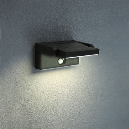 Brilagi - LED Solarna stenska svetilka s senzorjem ANKLE LED/3,5W/3,7V 2200 mAh IP54