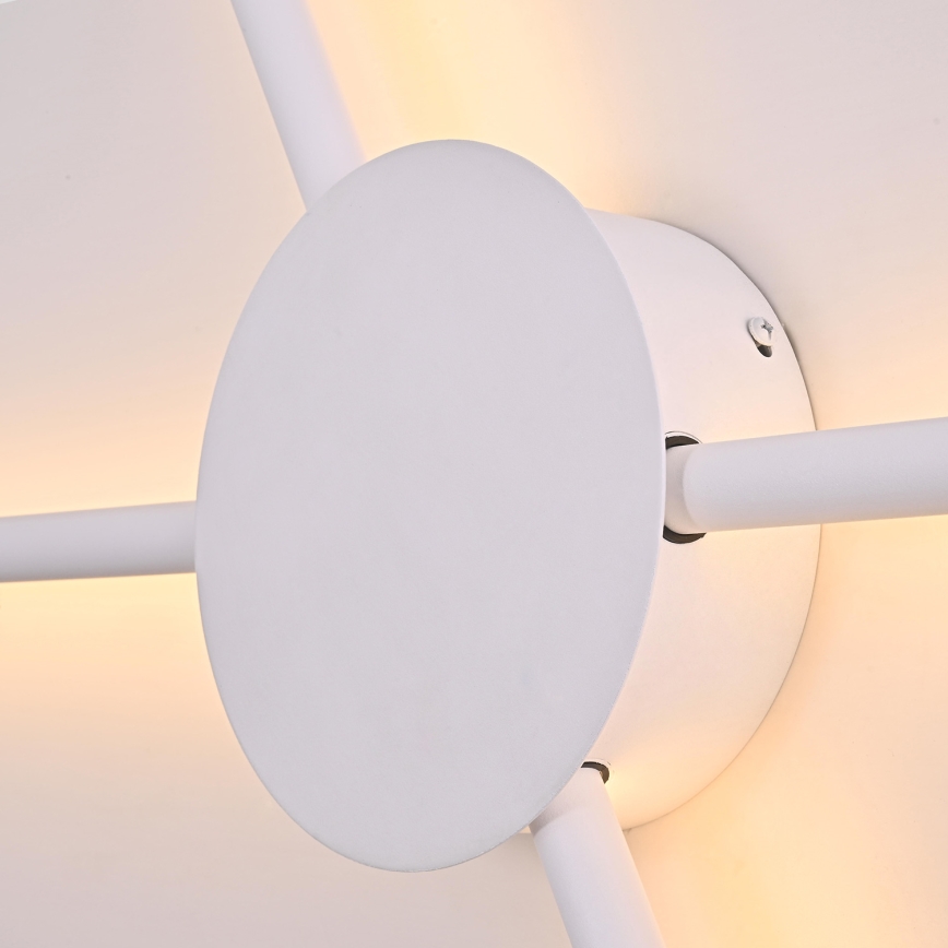 Brilagi - LED Stenska svetilka LUGO QUATTRO LED/16W/230V bela