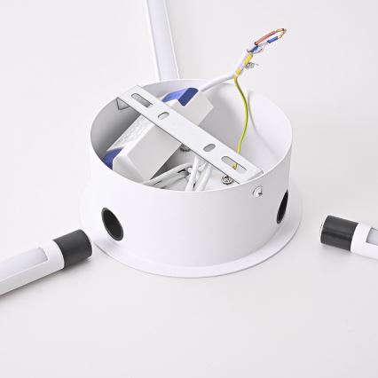 Brilagi - LED Stenska svetilka LUGO TRE LED/14W/230V bela