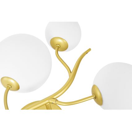Brilagi - LED Stenska svetilka MISTEL 3xG9/3W/230V zlata/bela