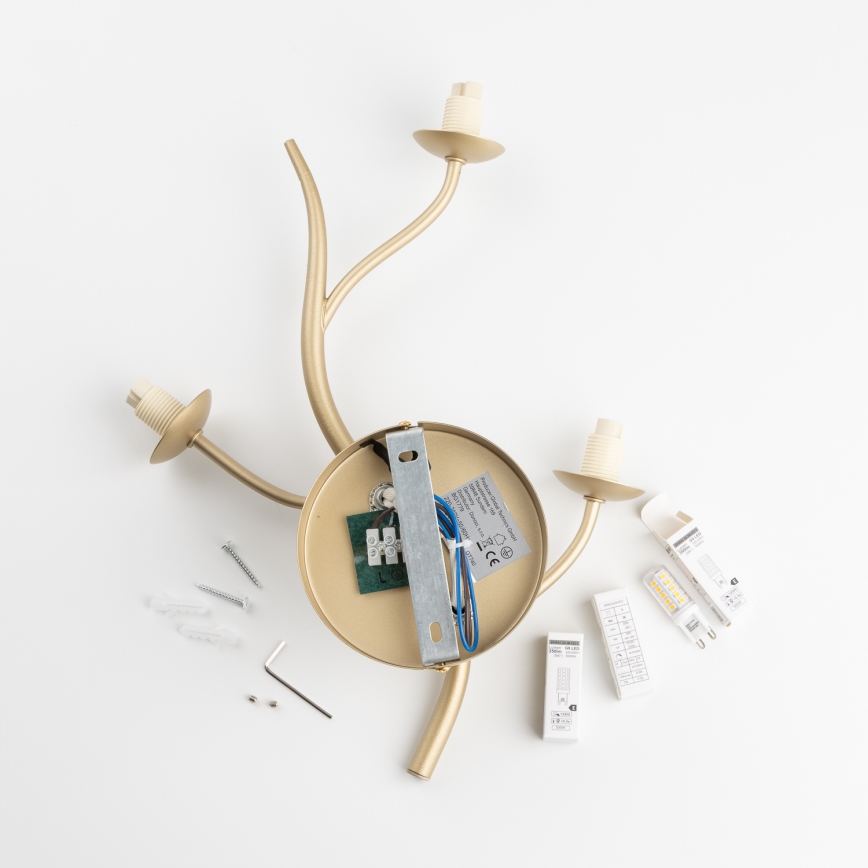 Brilagi - LED Stenska svetilka MISTEL 3xG9/3W/230V zlata/bela