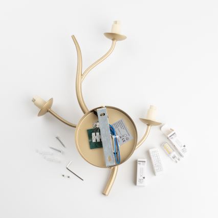 Brilagi - LED Stenska svetilka MISTEL 3xG9/3W/230V zlata