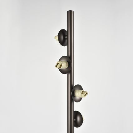 Brilagi - LED stoječa svetilka MILLA 7xG9/3W/230V rjava/dimna rjava