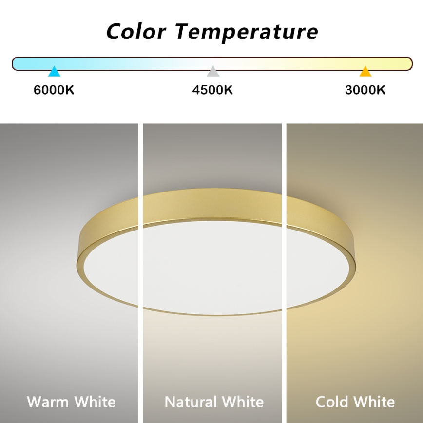 Brilagi - LED stropna svetilka POOL LED/100W/230V 3000/4000/6000K premer 80 cm zlata